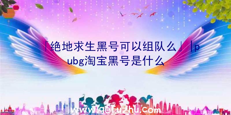 「绝地求生黑号可以组队么」|pubg淘宝黑号是什么